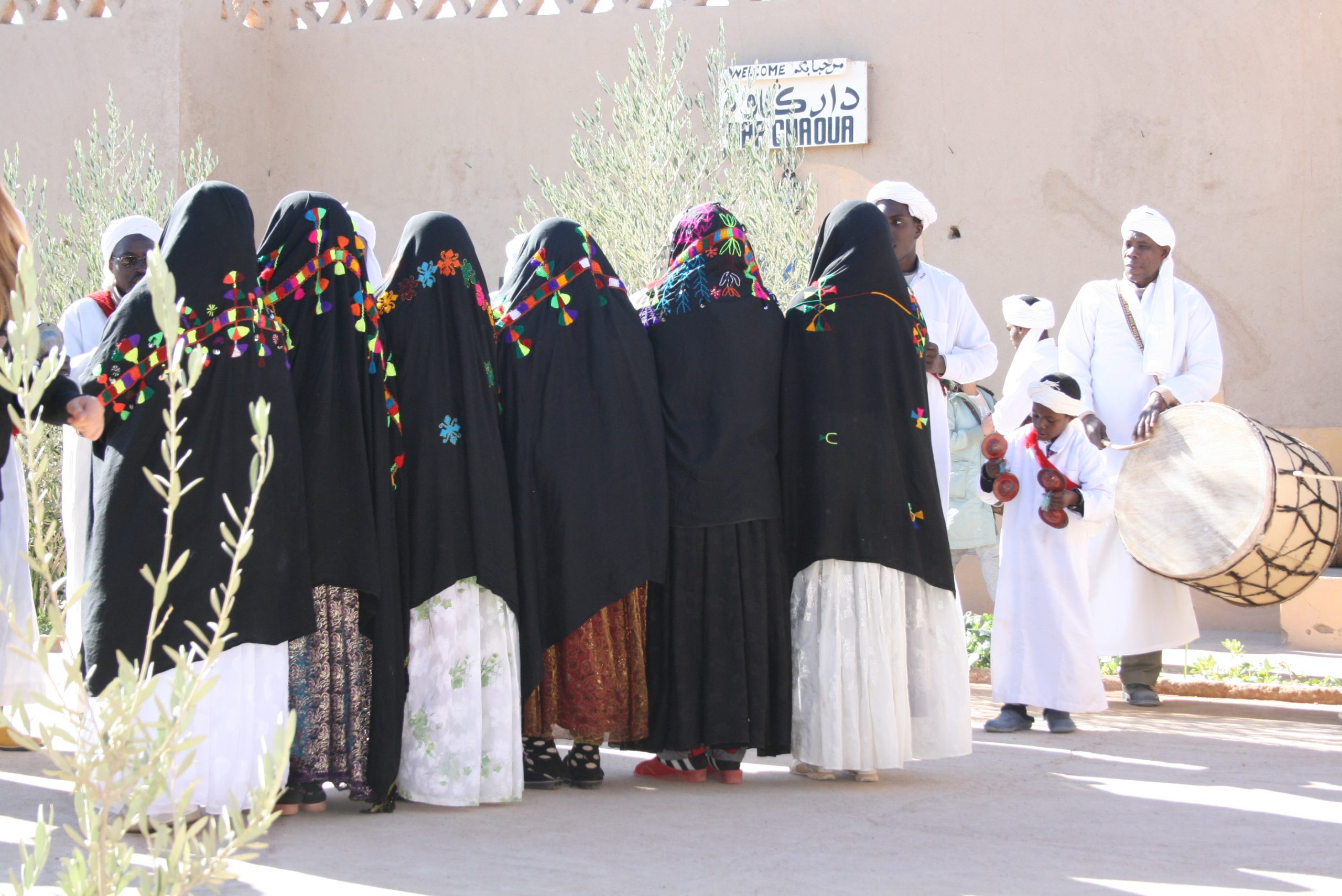 khamlia gnawa morocco camel tours