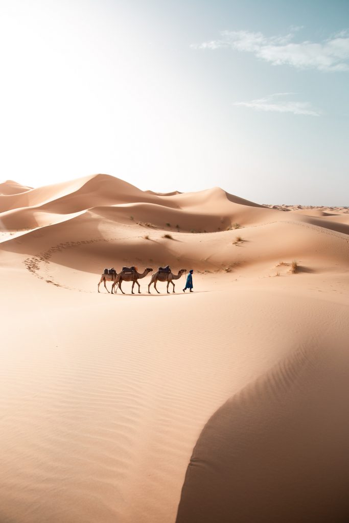 morocco camel tours