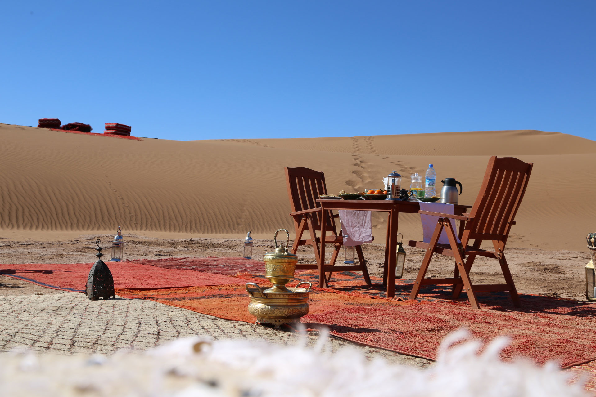 morocco camel tours