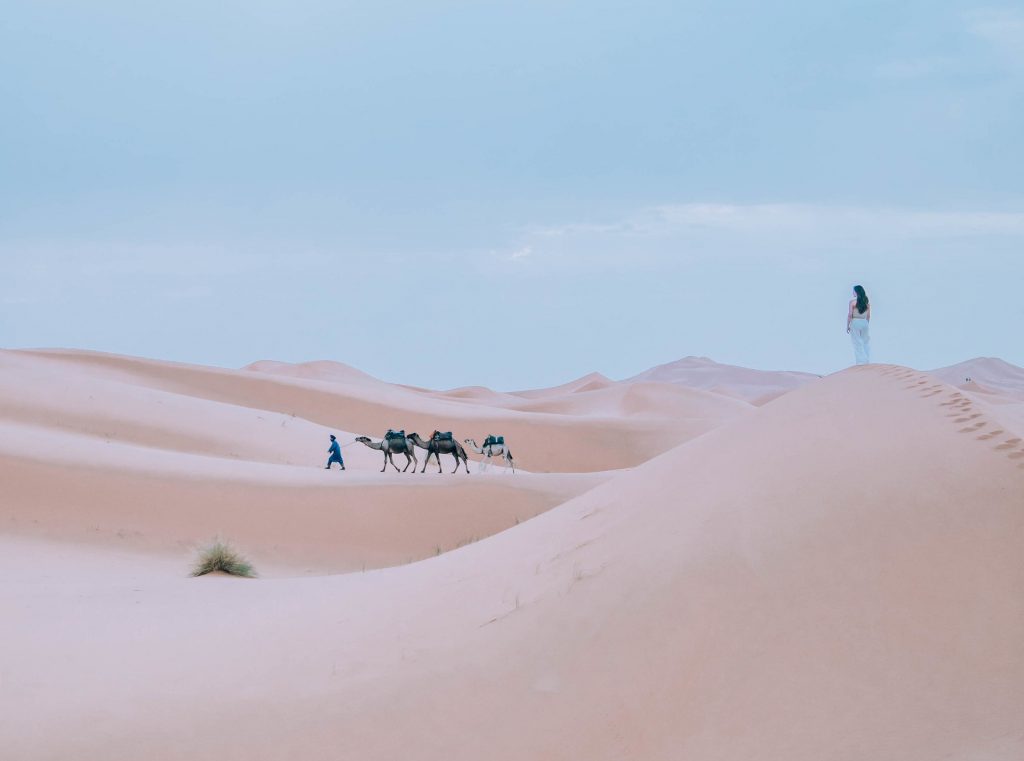 morocco camel tours