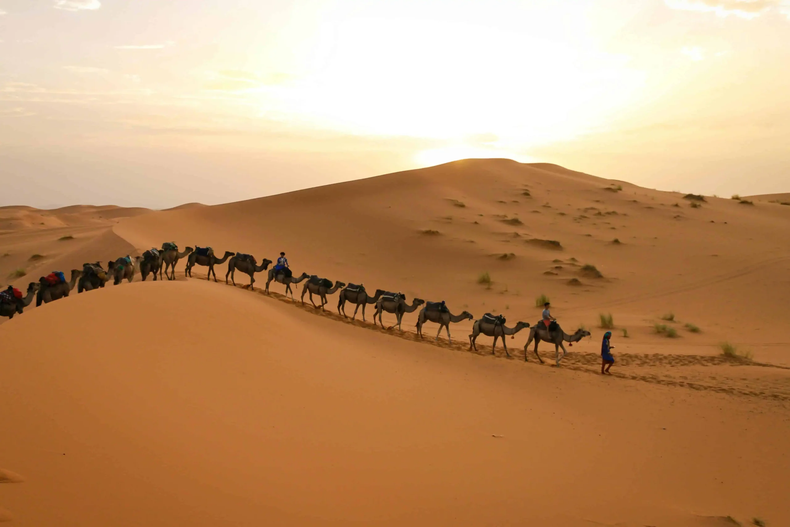 8 Days Morocco Desert Tour Itinerary 