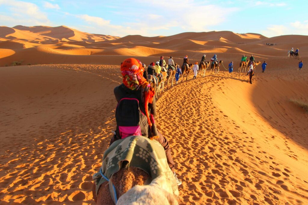 Marrakech Desert Tours​