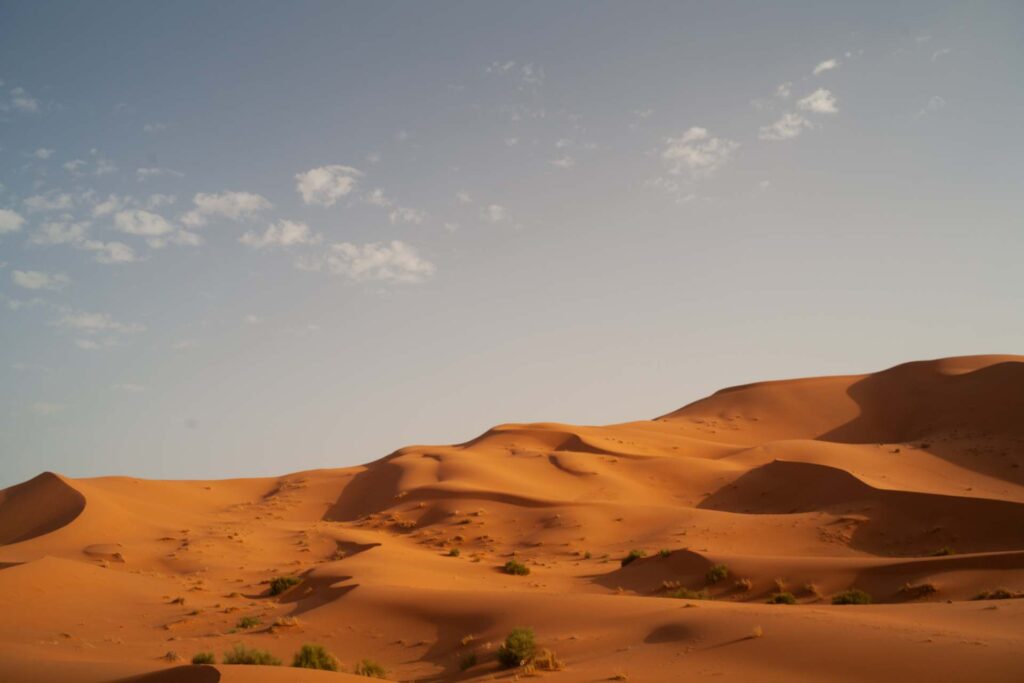 Marrakech Desert Tours​