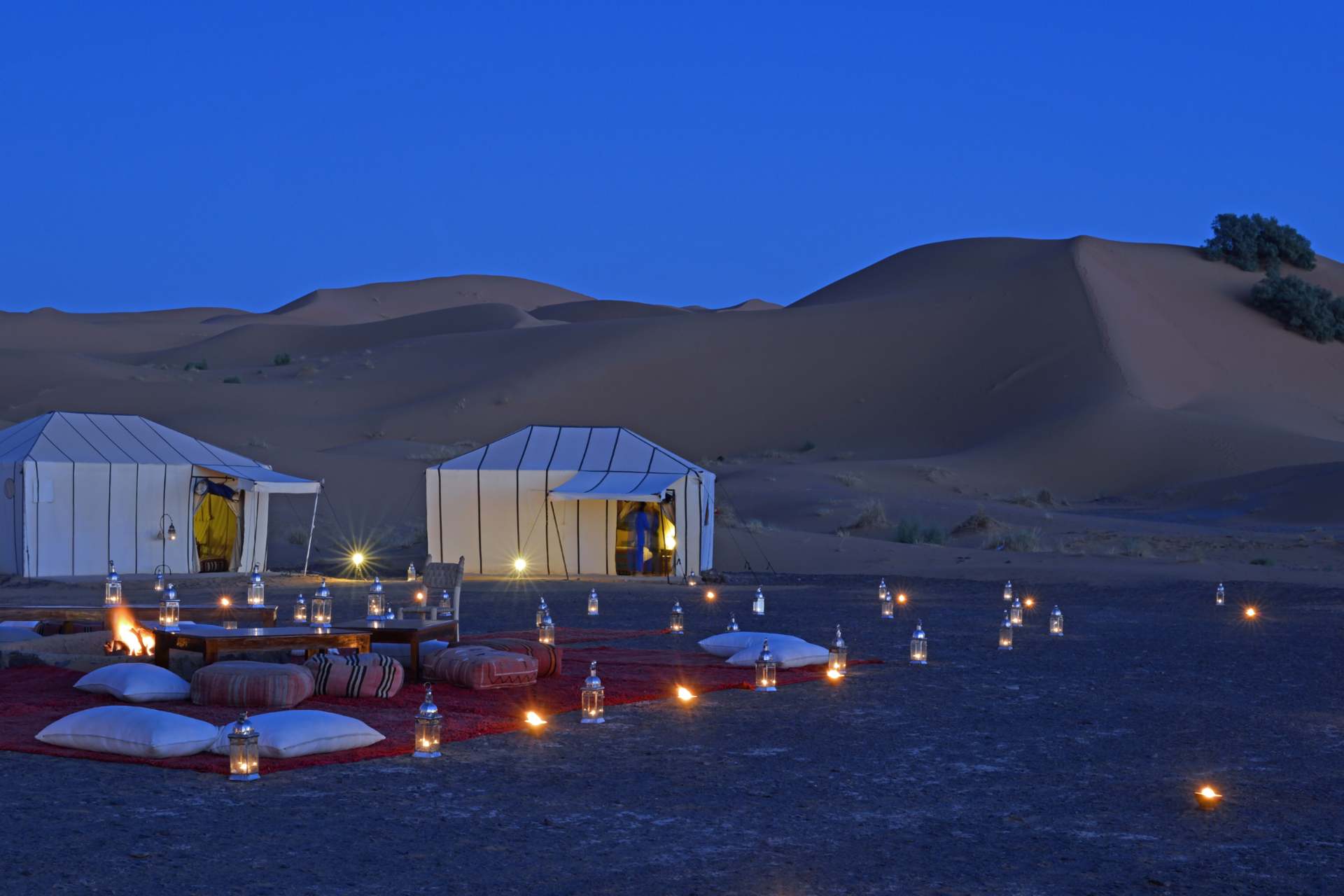 Spend The Night In The Sahara Desert